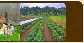 20 miles south of Olympia, Washington